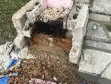 Bagnato Masonry Ltd photo 7