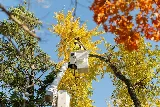 JC Landscape & Maintenance photo 3