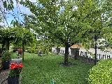 Wisam Landscaping & Services Ltd photo 3