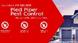 Pied Piper Pest Control photo 3