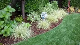 Pro Landscaping of Chula Vista