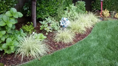 Pro Landscaping of Chula Vista photo 1