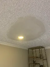 806 Painter, LLC photo 3