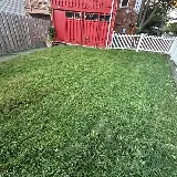 Lawn Love Lawn Care of Washington DC photo 3