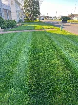 Andy's Lawn & Landscape
