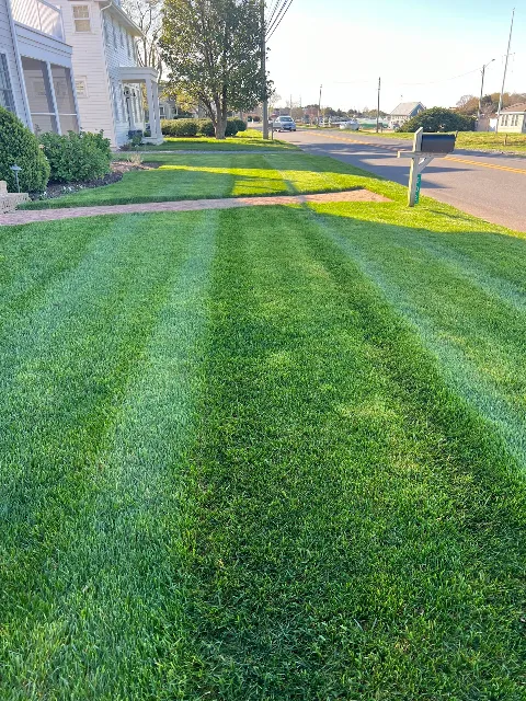 Andy's Lawn & Landscape photo 1