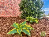 Heartland Landscape Group photo 6