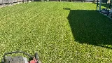 Pepe's Landscaping Designs