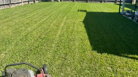 Pepe's Landscaping Designs in Houston