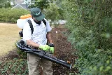 Remedy Pest Control photo 3