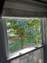 Star Windows Solutions LLC photo 3