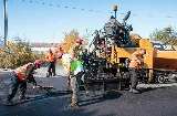Forest Contractors Ltd photo 2