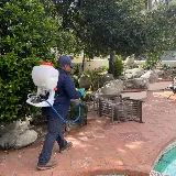 No Bugs Termite and Pest Control Inc. photo 3