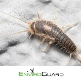 EnviroGuard Pest Control