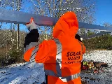 Solar Mason photo 2
