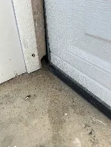 Pestisect Pest Control photo 4