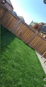 Honey Bee Lawn and Garden photo 4