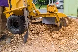 Jimenez Landscaping Service photo 4