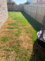 CEOS Pest Control Services photo 5