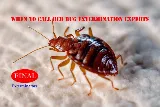 Final Exterminators photo 4