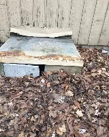 Best Pest Control and Services photo 2