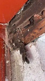A&R Pest Patrol photo 6