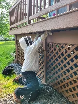 Ransford Pest Control photo 5