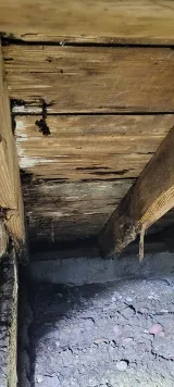 Kelly & Justin Termite & Pest Control Inc photo 4