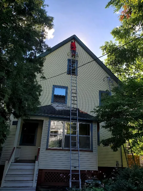 Monarch Painting in Rochester