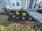 Winesett Nursery and Landscaping photo 4