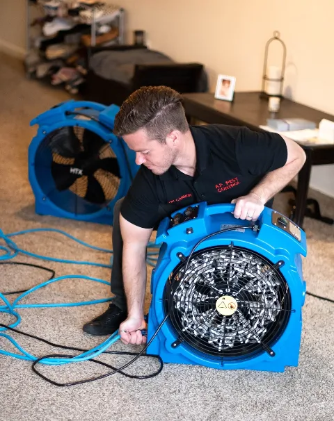 A.P. Pest Control photo 1