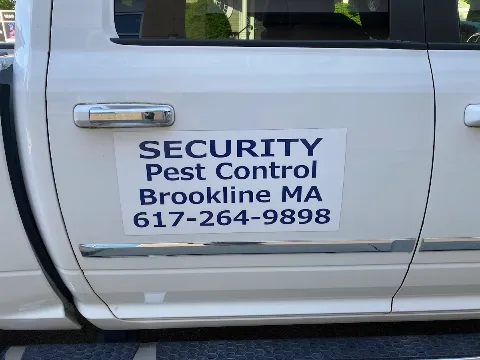 Security Pest Control in Cambridge