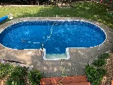 Dolphin Pool & Spa photo 6