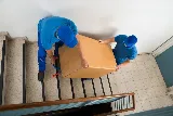 2 Guys 4 Hire Professional Moving photo 6
