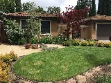 Landscape Therapist Inc. photo 6