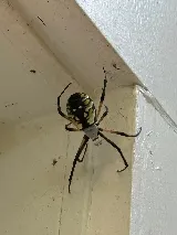 Technica Pest Solutions photo 2