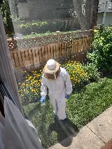 Ehrlich Pest Control photo 3