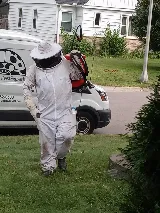 Rainbow Pest Experts photo 4
