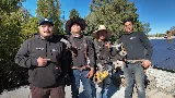 Cloud Nine Roofing & Construction