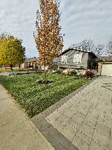 Beecroft & Sons Landscaping photo 8