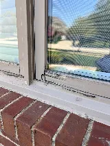 Chicago Window Repair & Replacement Company photo 6