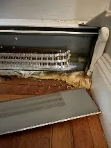 Master Mice Proofing photo 3
