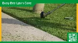 Busy Bee Lawn Care & Sprinkler Repair photo 6
