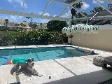 Liberty Pools photo 2