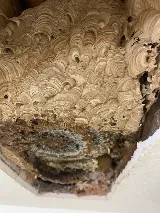 Alford Pest Control photo 5