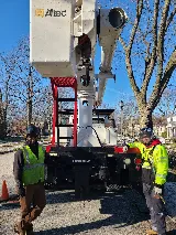 Crawford Tree & Landscape Services, Inc. photo 6