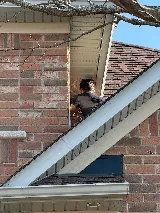 Icon pest control & wildlife removal in Richmond Hill photo 5