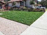 Rizo's landscaping & maintenance