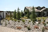 Reno Green Landscaping photo 6