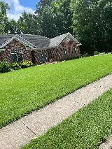 Lookout Pest Control photo 7
